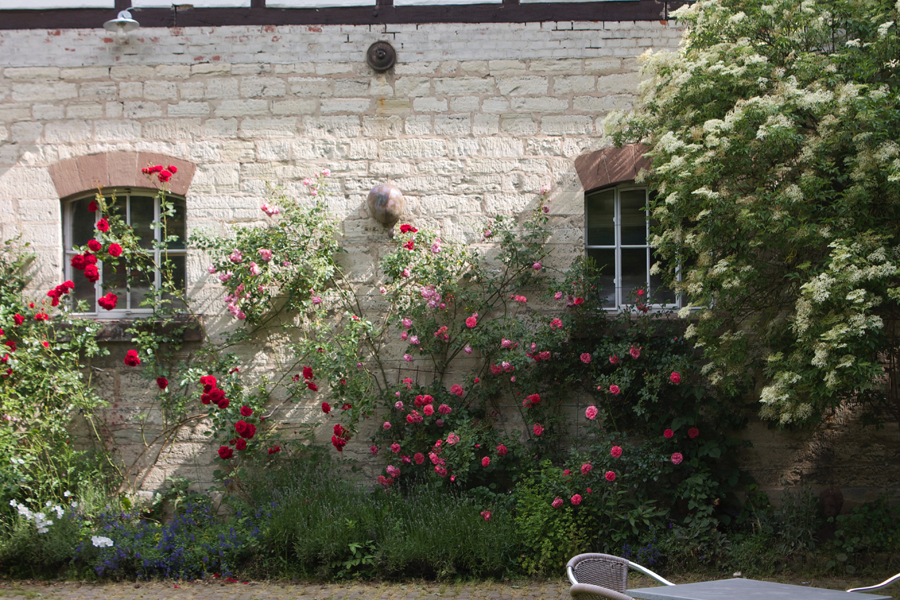 Cafe_rosen_wand