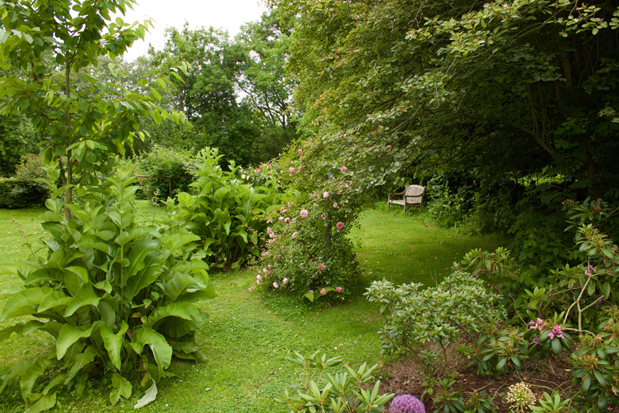 kh_garten_wiese_bank