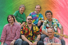 YOYO Reggae